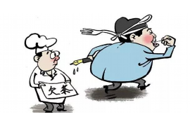 辰溪债务清欠服务