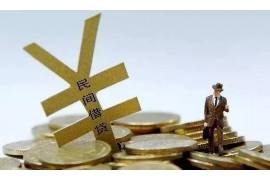 辰溪债务清欠服务